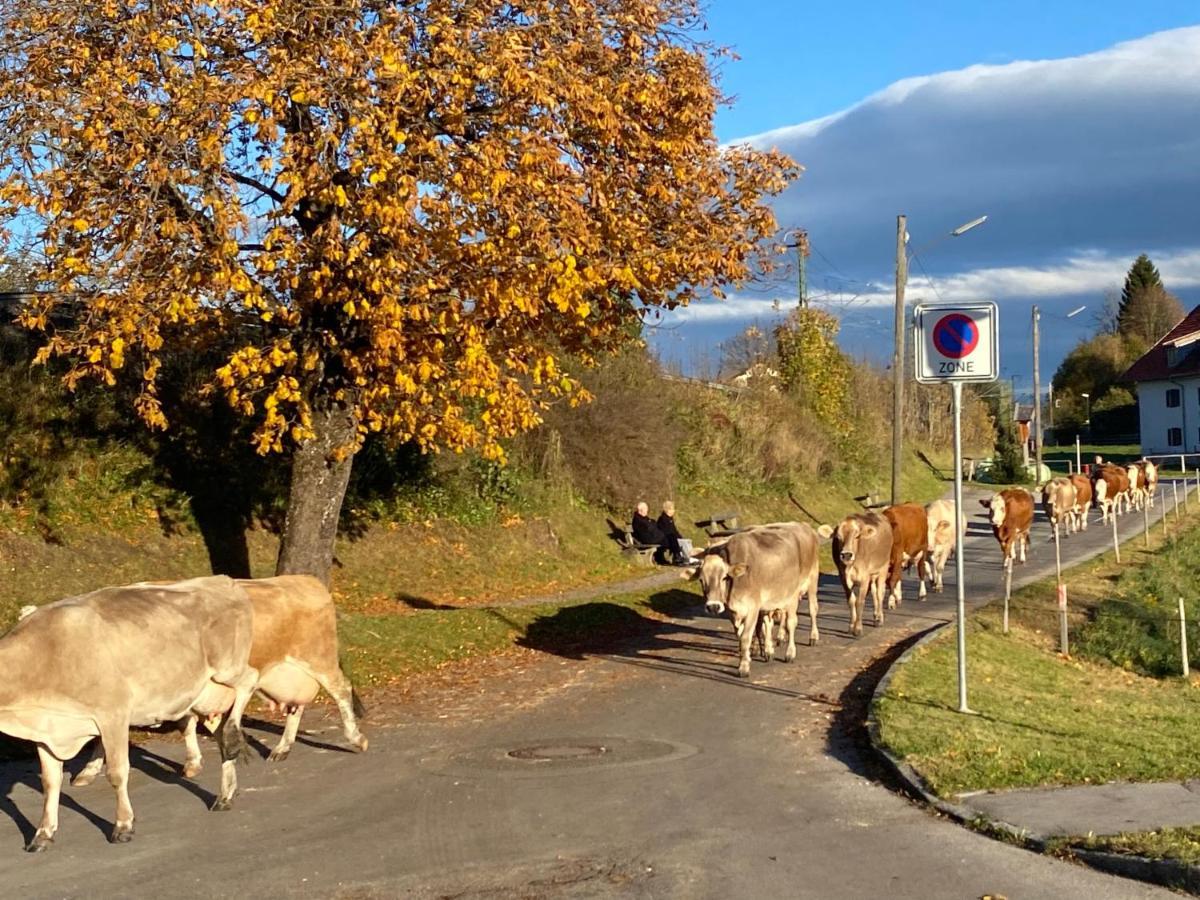 شقة Im-Oberland - Tal - باد كوهلغرب المظهر الخارجي الصورة