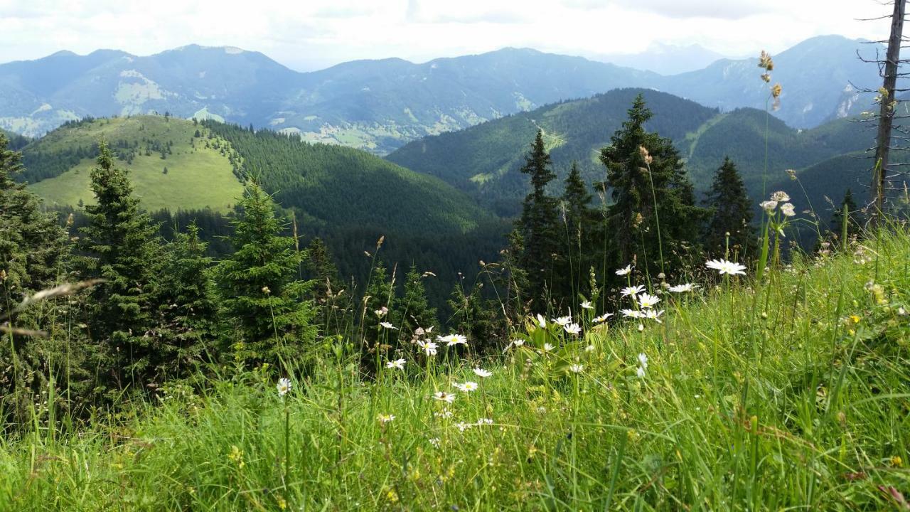 شقة Im-Oberland - Tal - باد كوهلغرب المظهر الخارجي الصورة